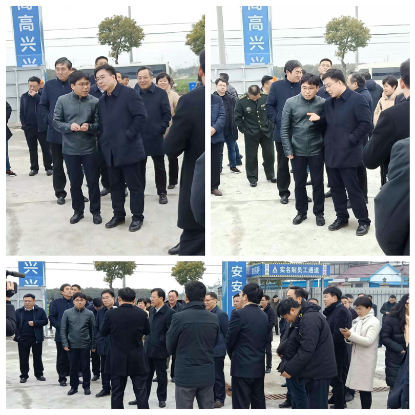 如皋市委領(lǐng)導(dǎo)蒞臨德信致遠廠房項目工地